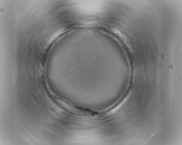 X0000088221449200706051310