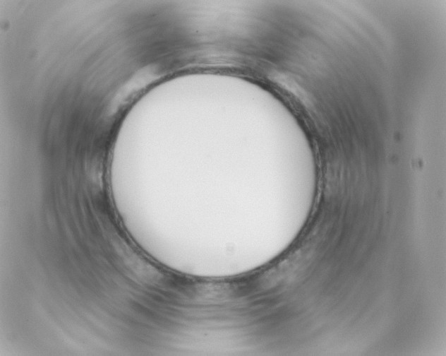 X0000088221451200706051310