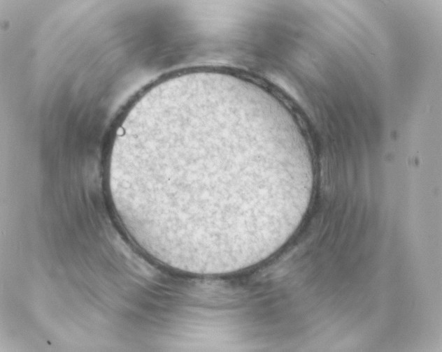 X0000088221452200706051310