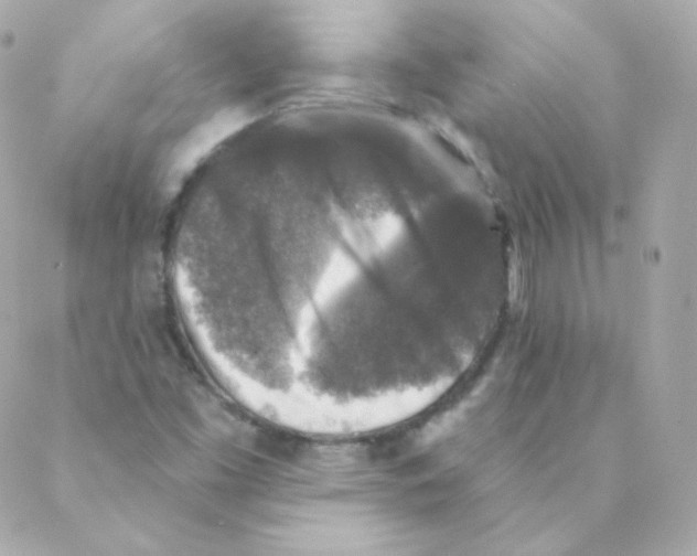 X0000088221453200706051310