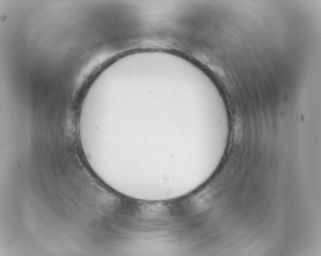 X0000088221454200706051310