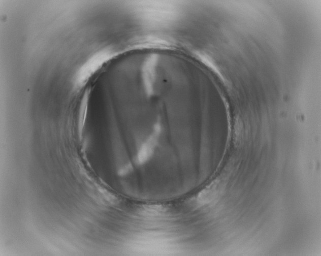 X0000088221455200706051310