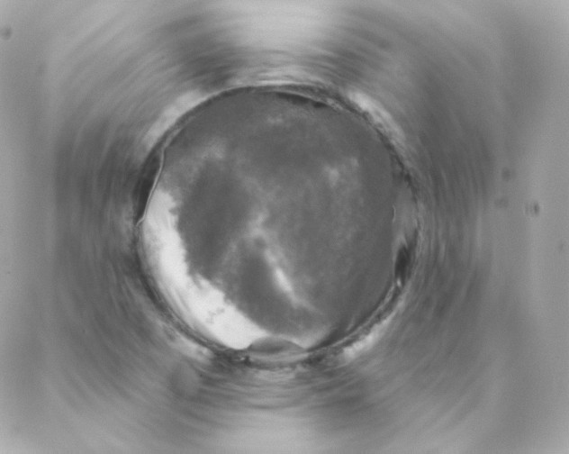 X0000088221457200706051310