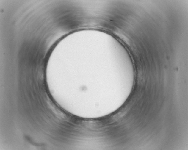 X0000088221458200706051310