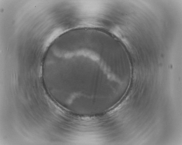 X0000088221459200706051310