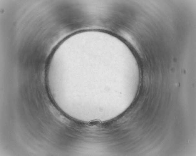 X0000088221460200706051310