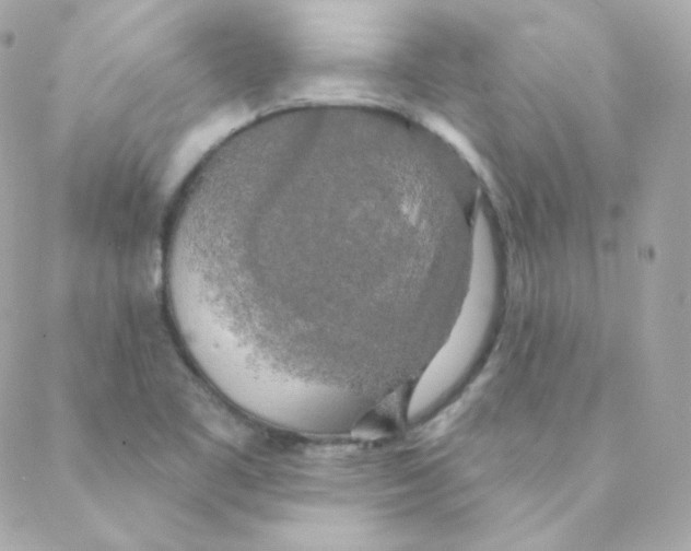 X0000088221461200706051310