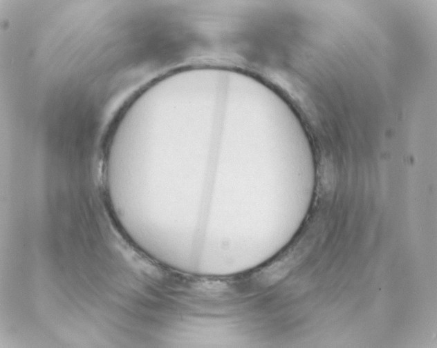 X0000088221462200706051310