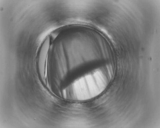 X0000088221463200706051310