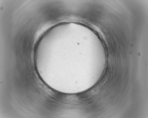 X0000088221464200706051310