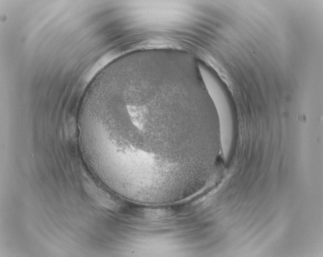 X0000088221465200706051310