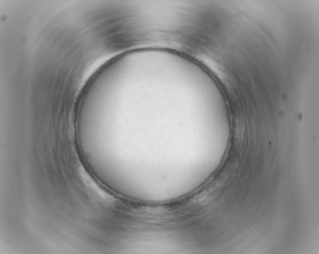 X0000088221468200706051310