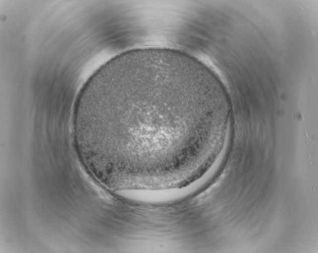 X0000088221469200706051310