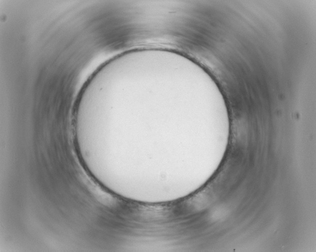 X0000088221470200706051310