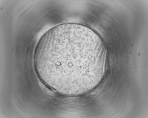 X0000088221471200706051310