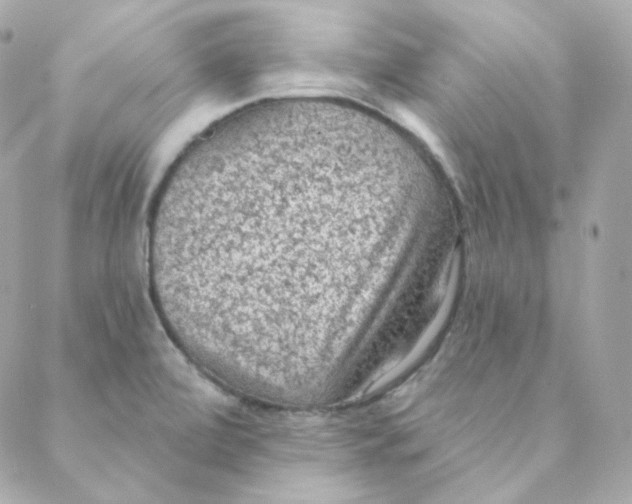 X0000088221472200706051310