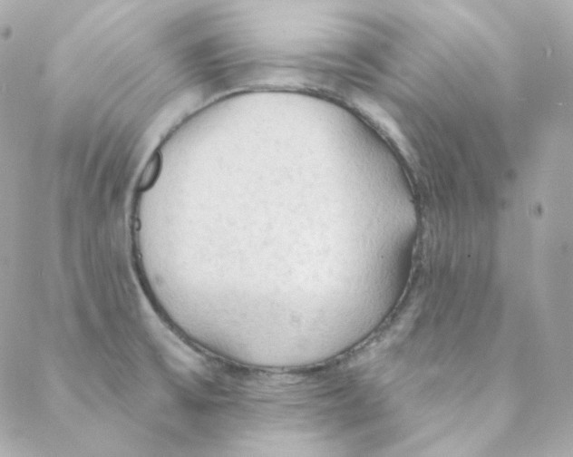 X0000088221475200706051310