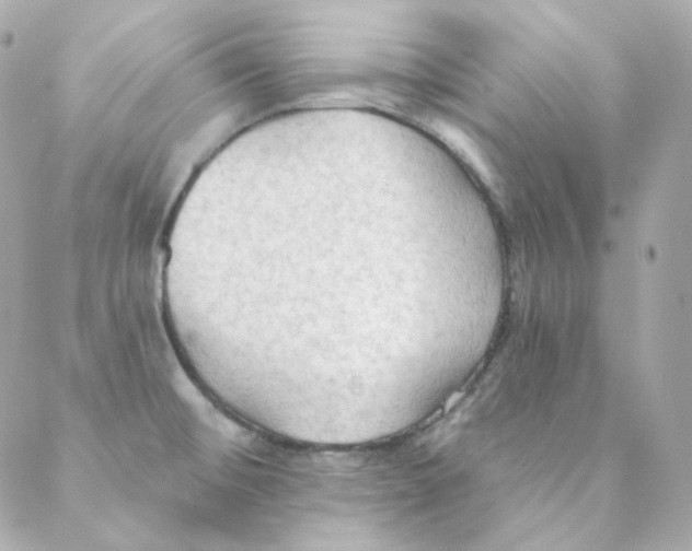 X0000088221476200706051310