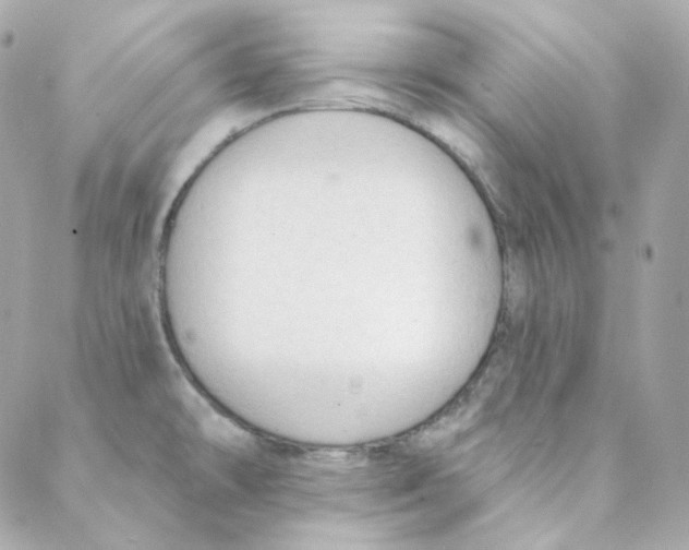 X0000088221478200706051310