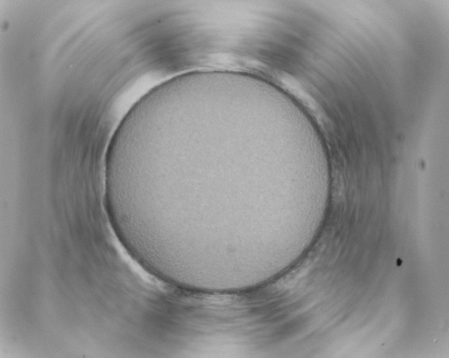 X0000088221479200706051310