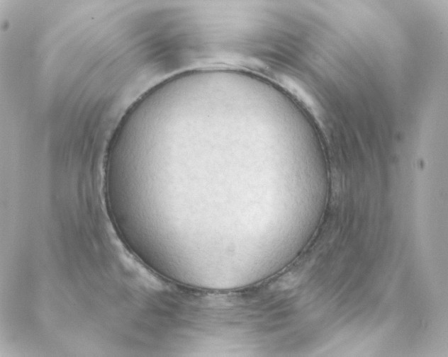 X0000088221480200706051310