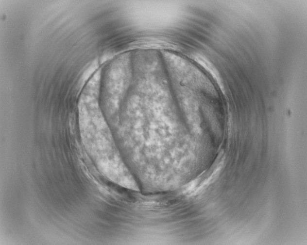 X0000088221481200706051310