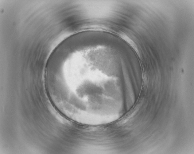 X0000088221482200706051310