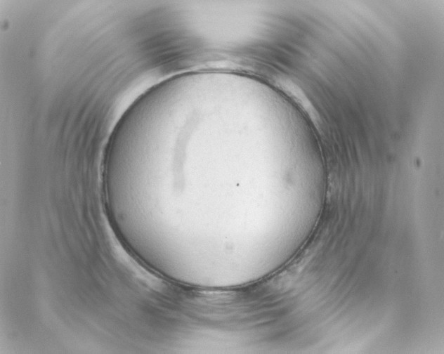 X0000088221483200706051310