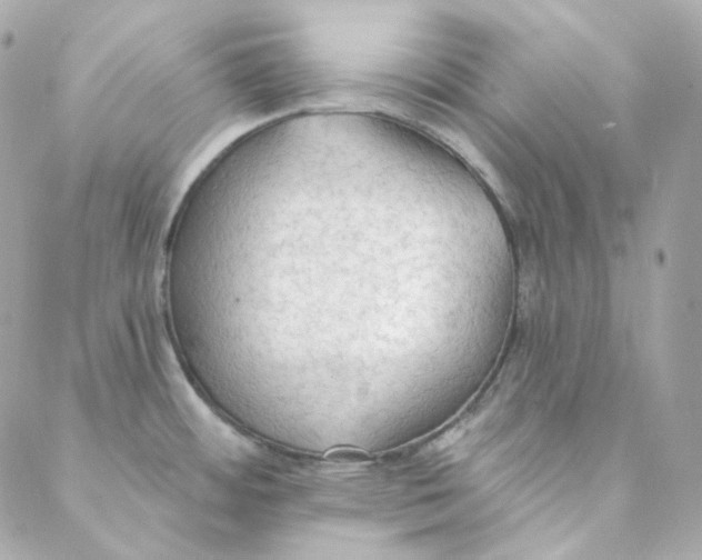 X0000088221484200706051310