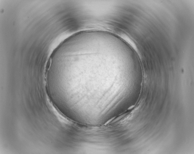 X0000088221485200706051310