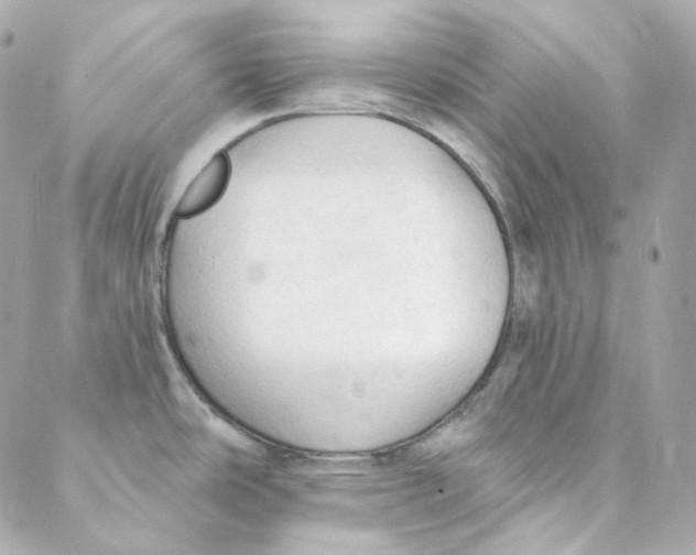 X0000088221486200706051310