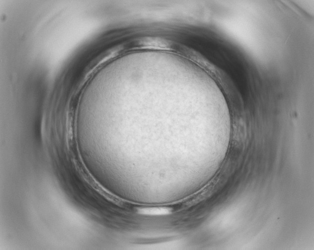 X0000088221487200706051310