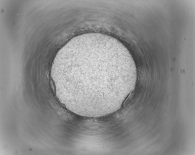 X0000088221489200706051309