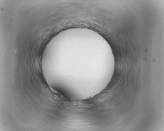 X0000088221490200706051309