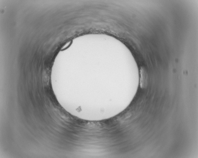 X0000088221491200706051309