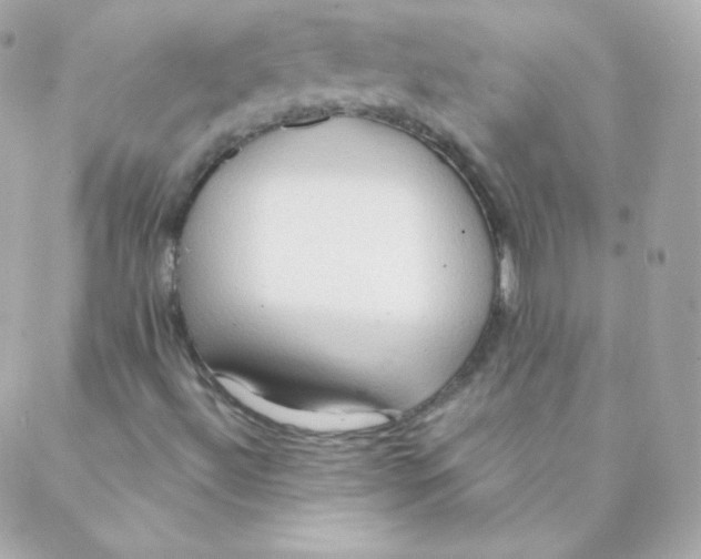 X0000088221492200706051309