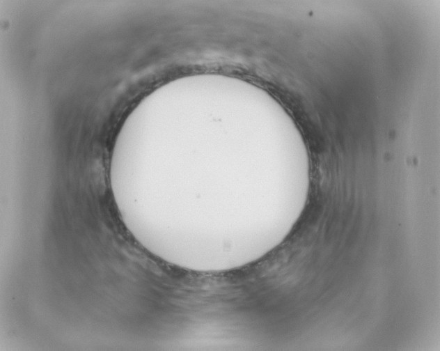 X0000088221493200706051309