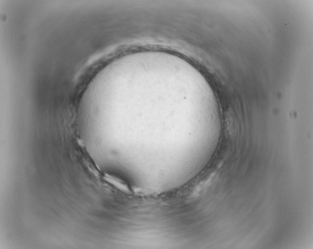 X0000088221494200706051309