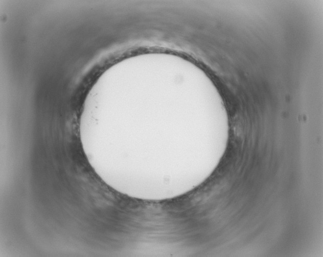 X0000088221495200706051309