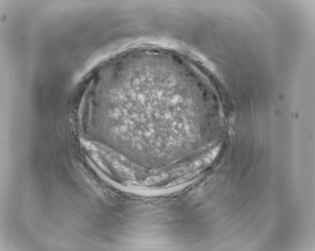 X0000088221496200706051309