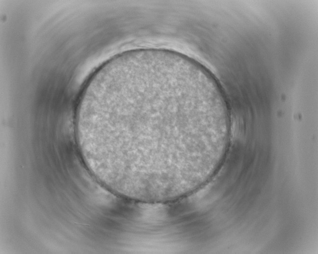 X0000088221498200706051309