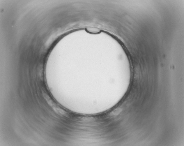 X0000088221499200706051309