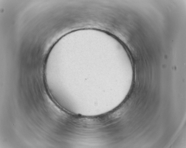 X0000088221500200706051309