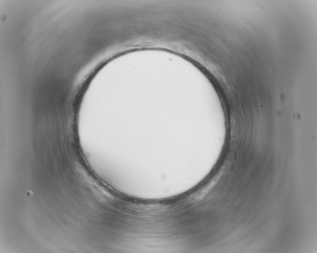 X0000088221502200706051309