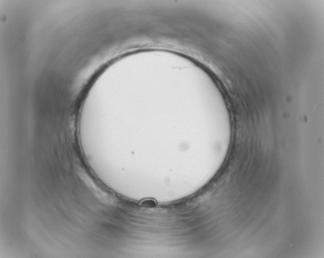 X0000088221503200706051309