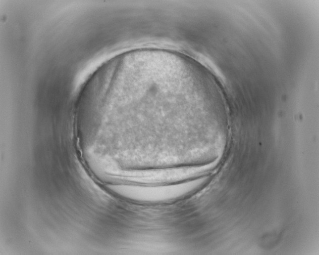 X0000088221504200706051309