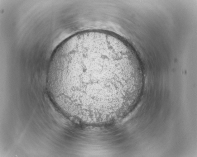 X0000088221505200706051309