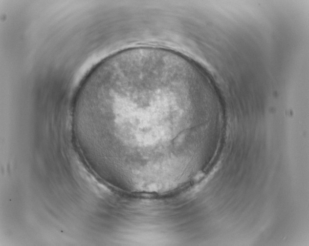 X0000088221506200706051309