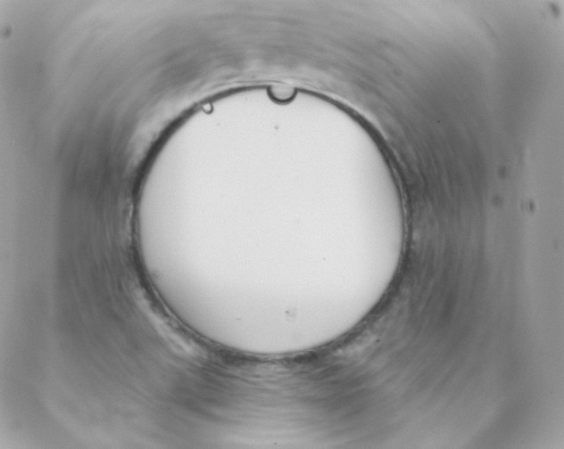 X0000088221507200706051309