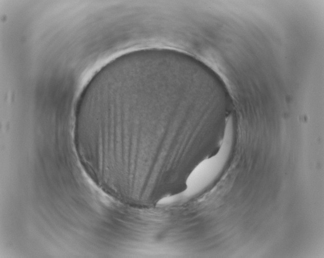 X0000088221508200706051309